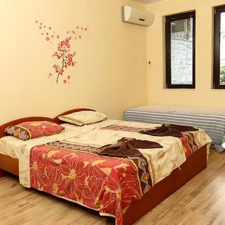 Complex Dreams Bmt ソゾポル