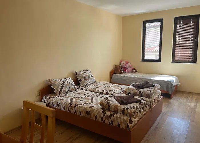 Complex Dreams Bmt *