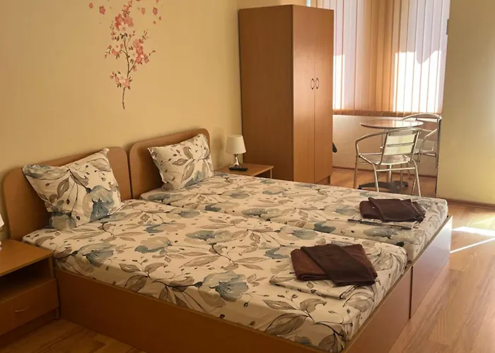 Complex Dreams Bmt Sozopol