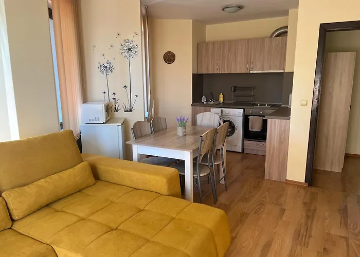 Complex Dreams Bmt * Sozopol