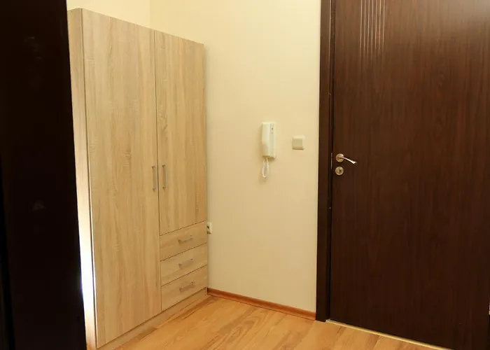 Complex Dreams Bmt *