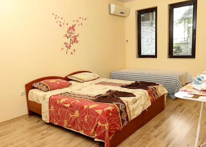 Complex Dreams Bmt Sozopol